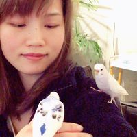 OKNail