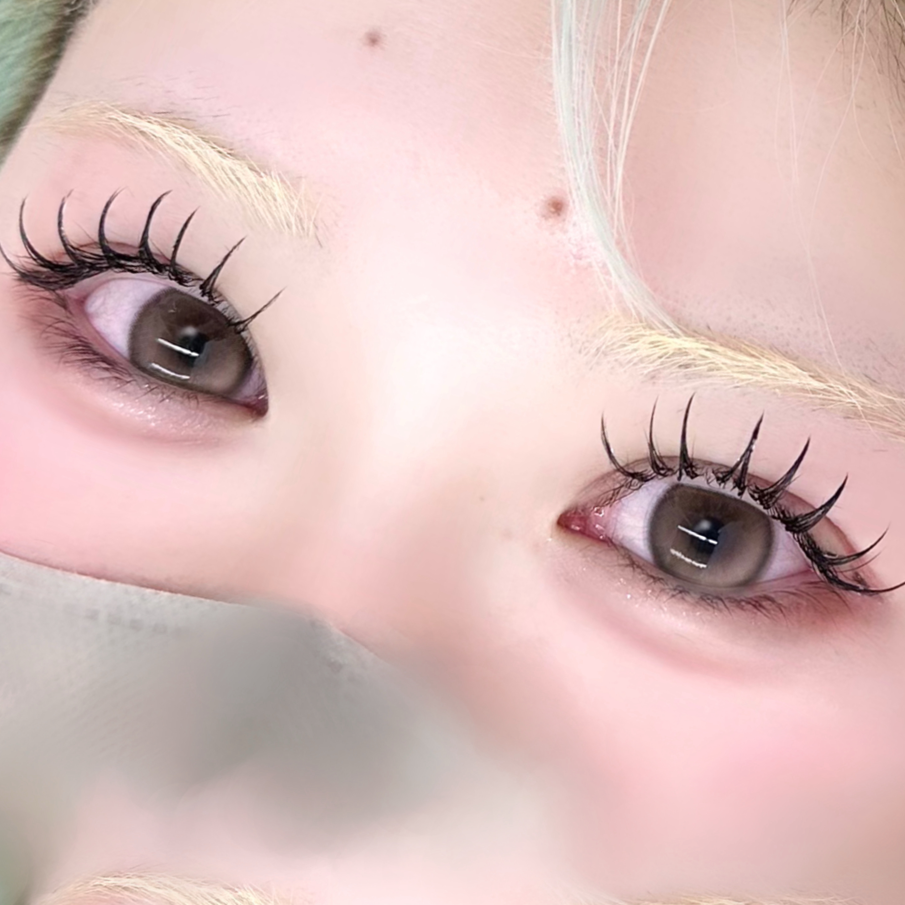 haruu7_daisy