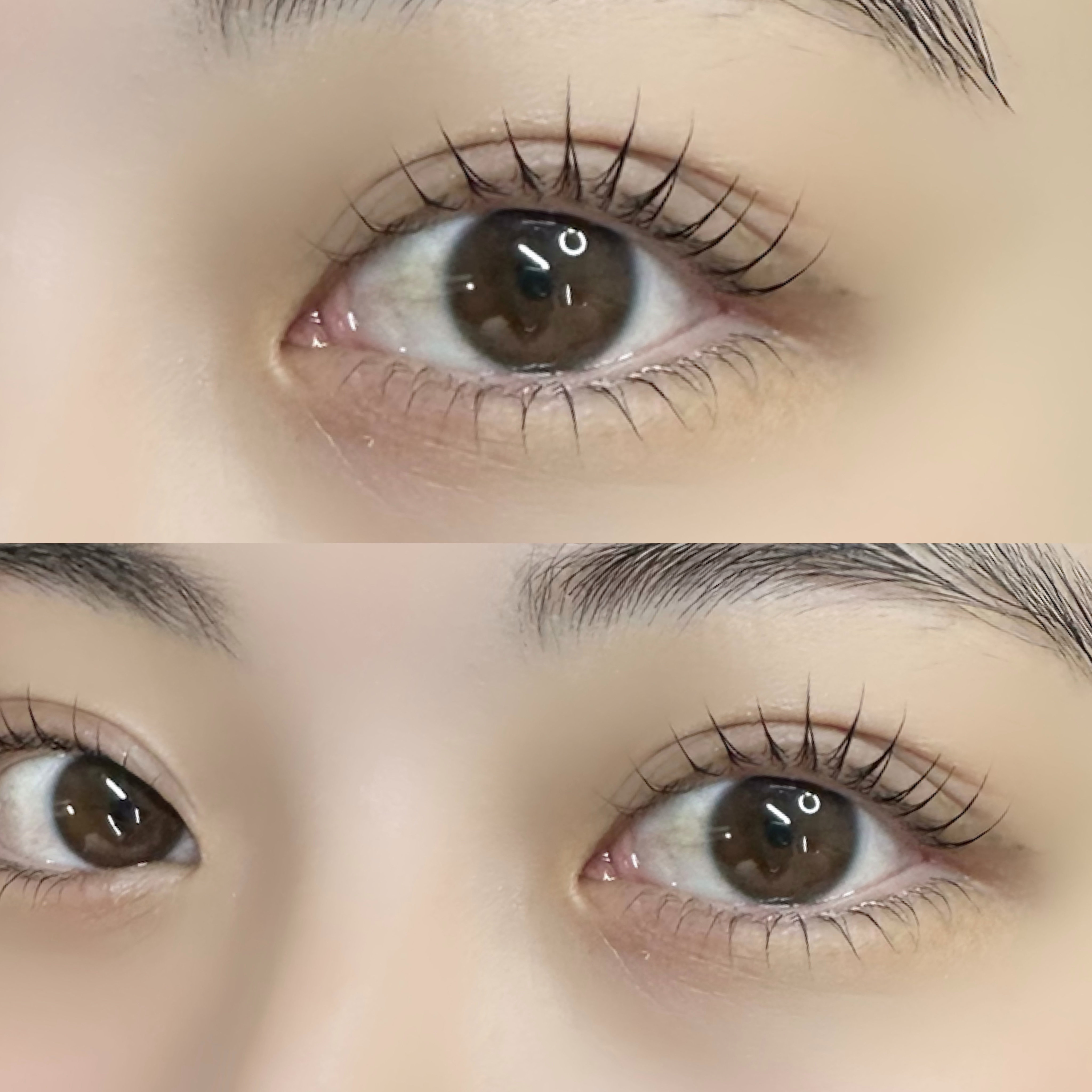 risa_eye.brow