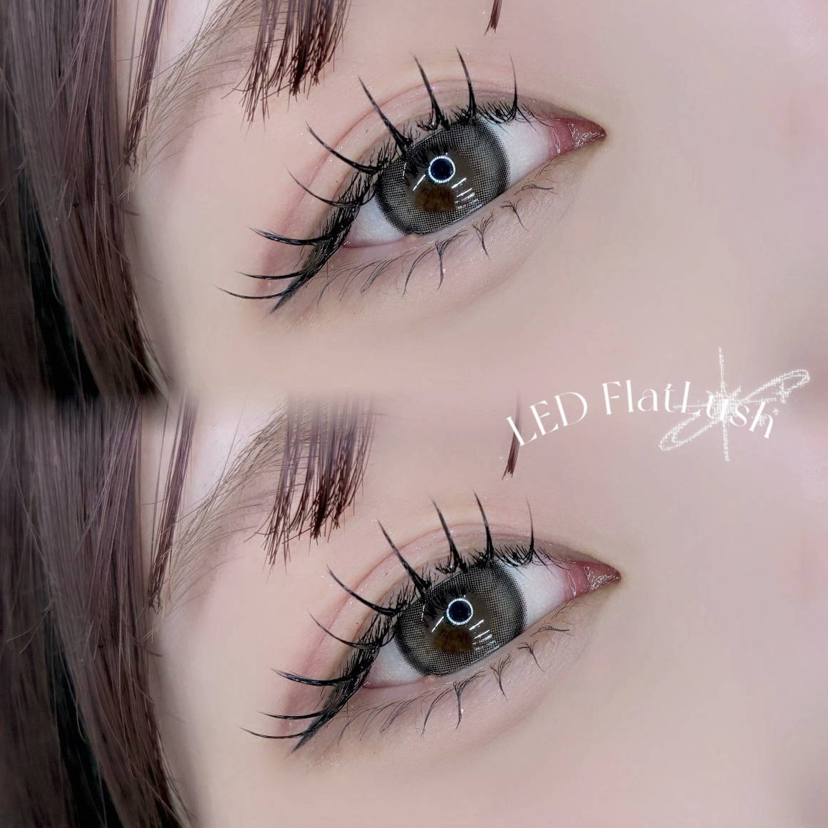 koto_trueye