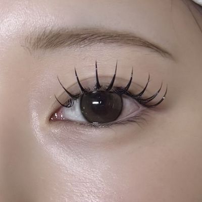 フラットラッシュ120本