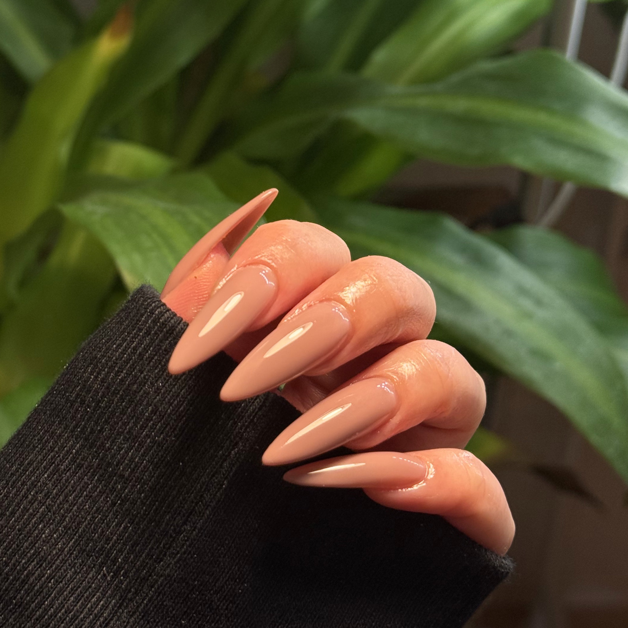 nail_ali.i