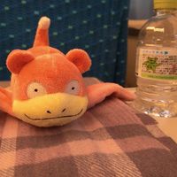 moe.a.0405716