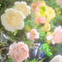 shion_04