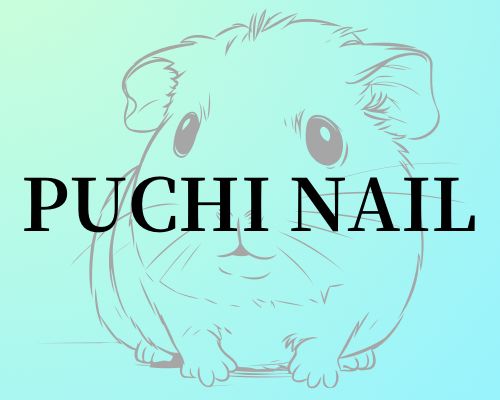 puchi nail（プチネイル）