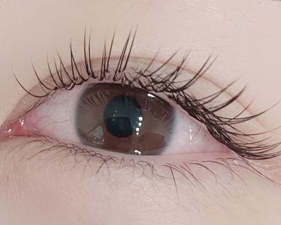 【マツエク上下セット】💎フラットラッシュ100本+下まつげ20本💎オフ無料✨