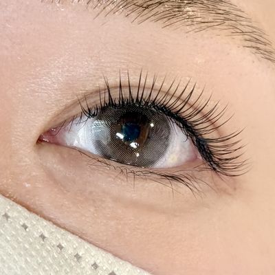 【マツエク】ダブルフラット60束