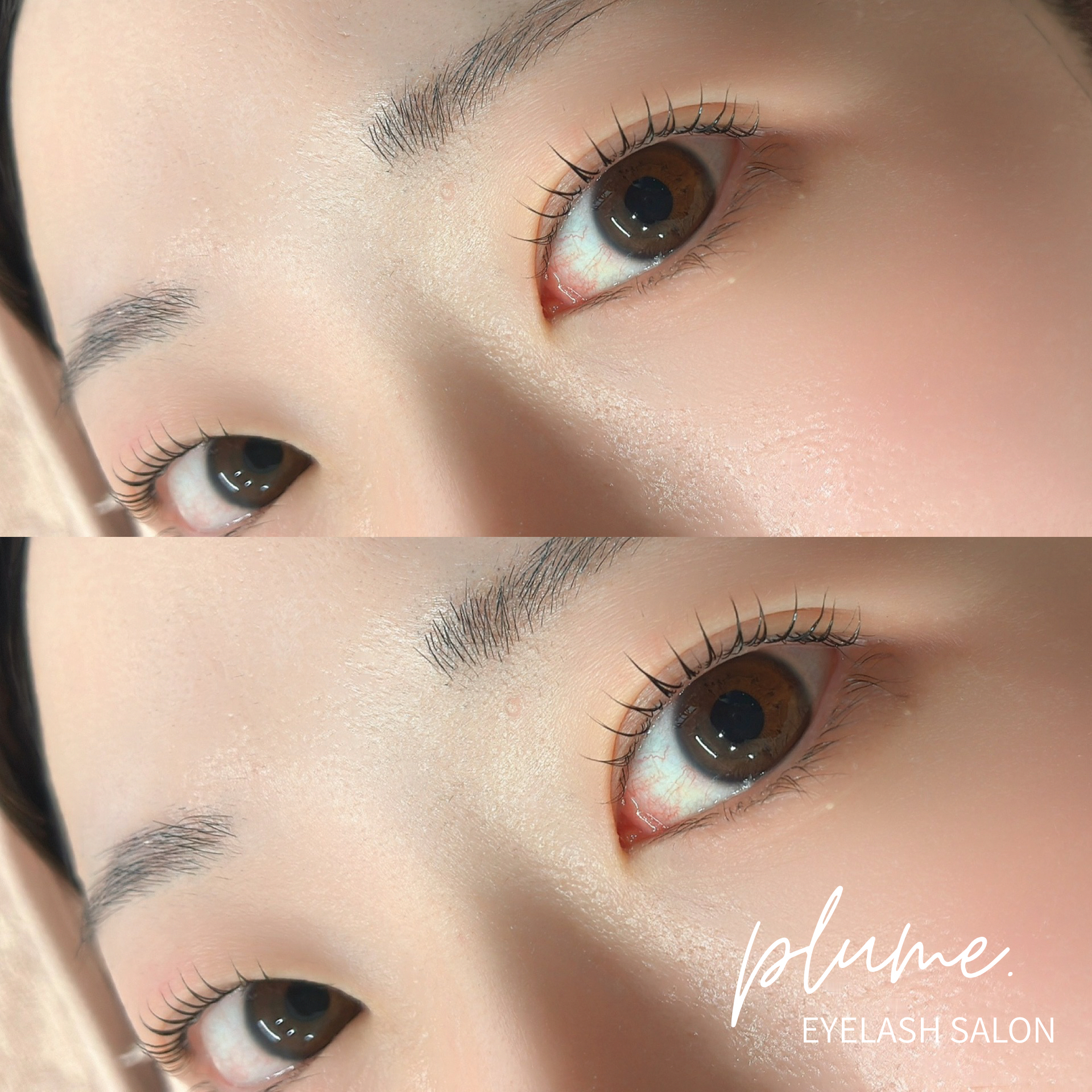plume.eyelashsalon