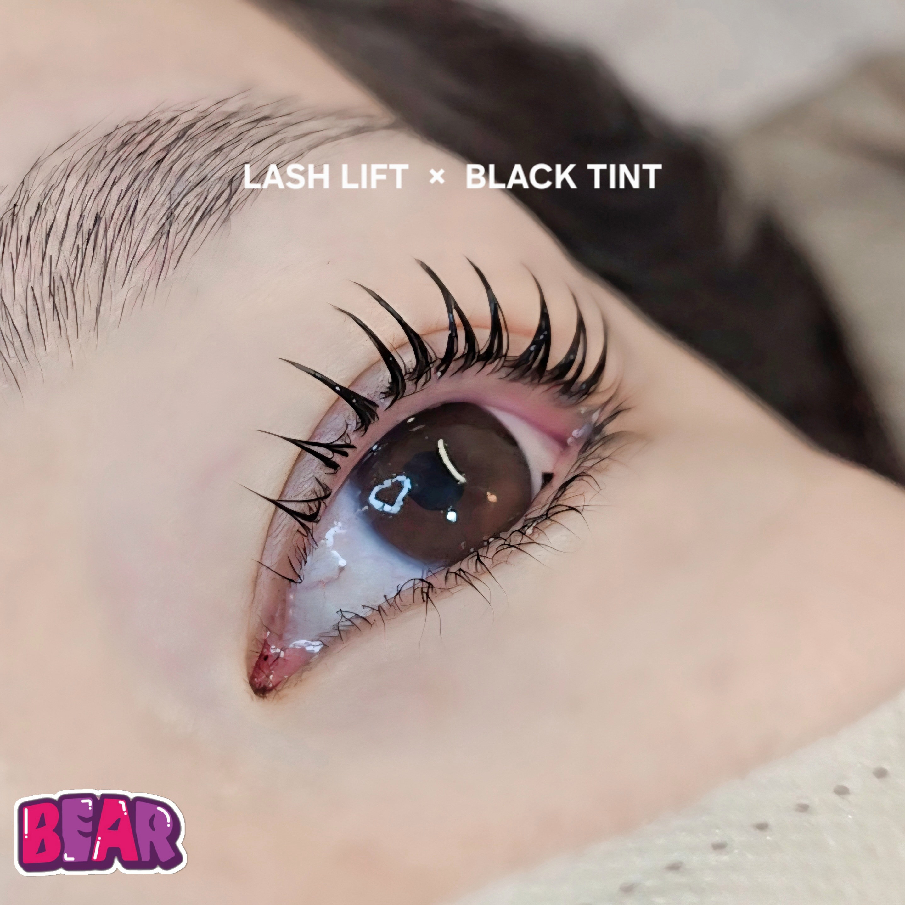 bear._.eyelash