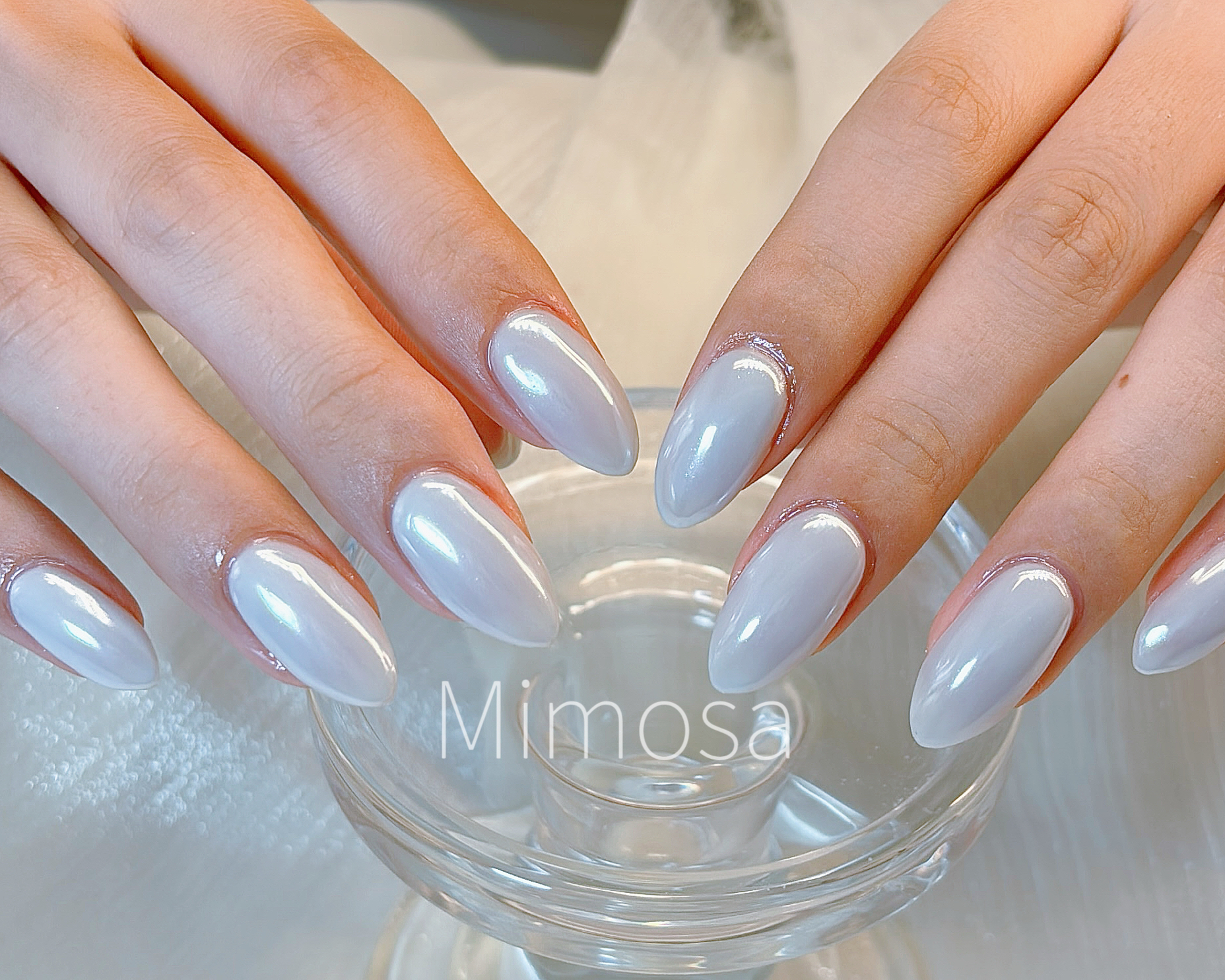 mimosa_kichijoji