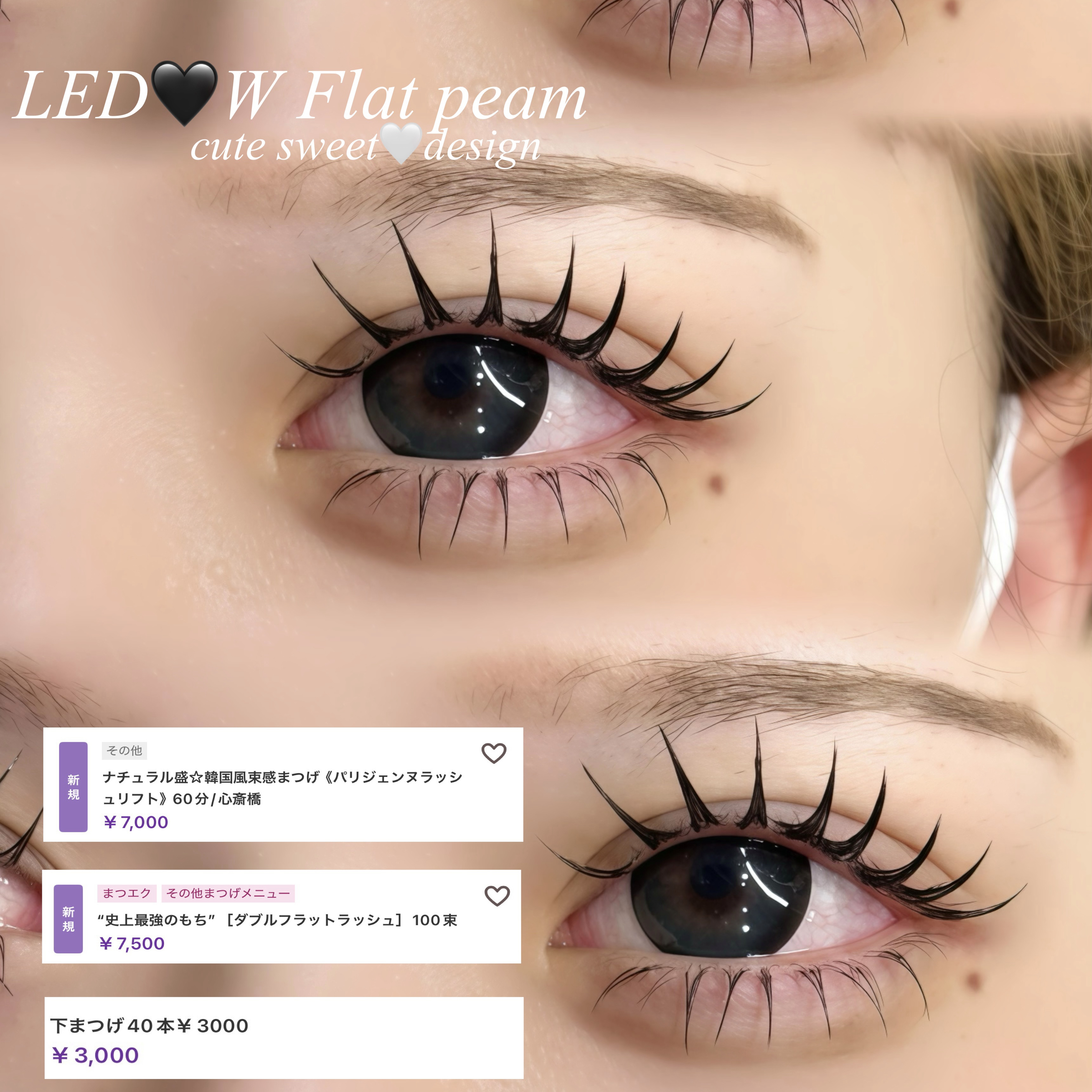 eye_ann_lash