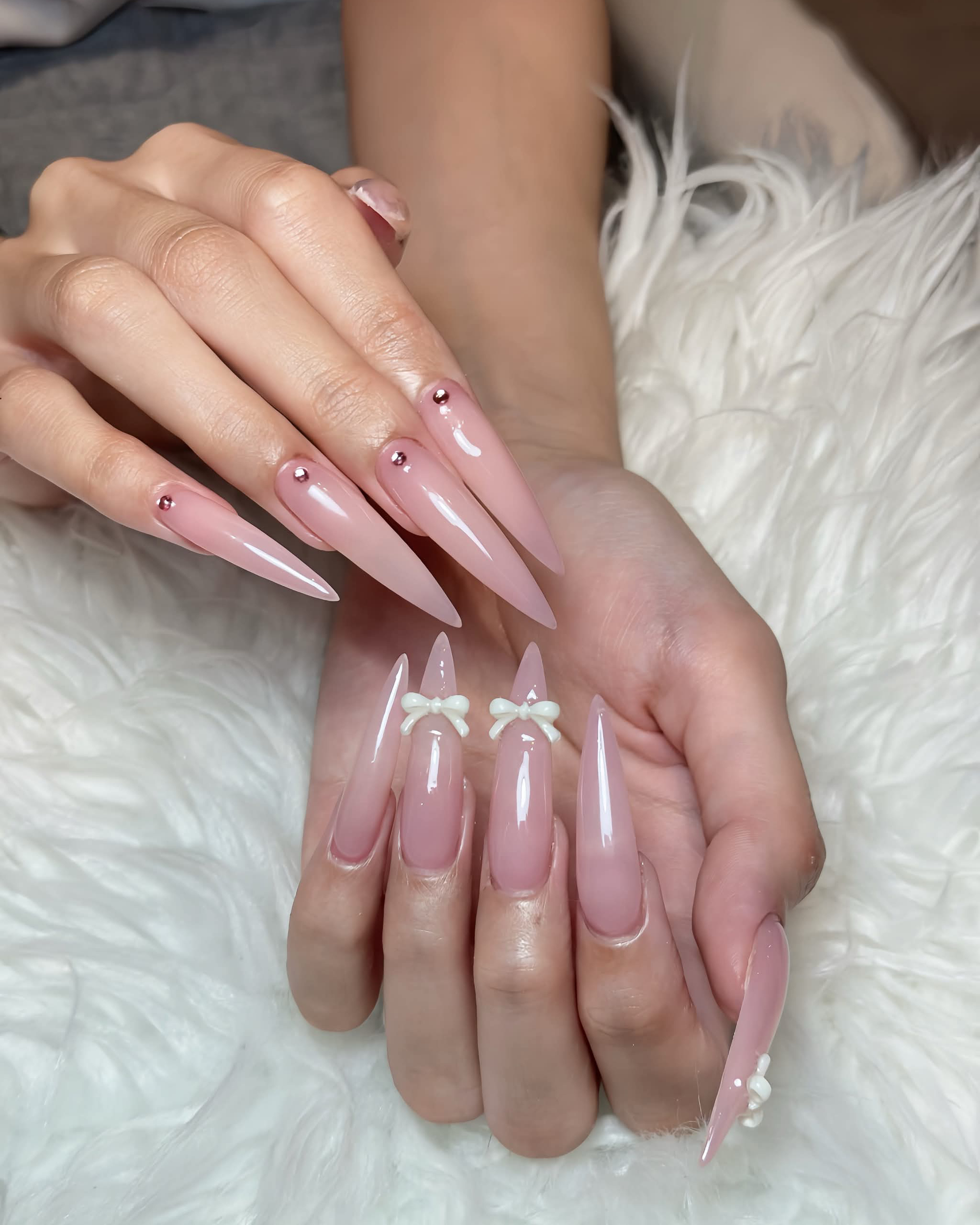 elimuse.CICI