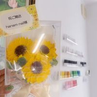 hanam_nail4