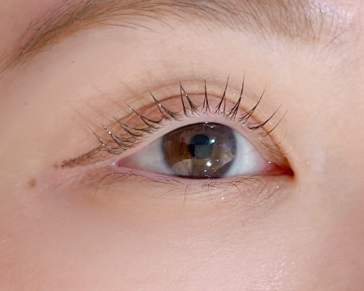 eye_uta