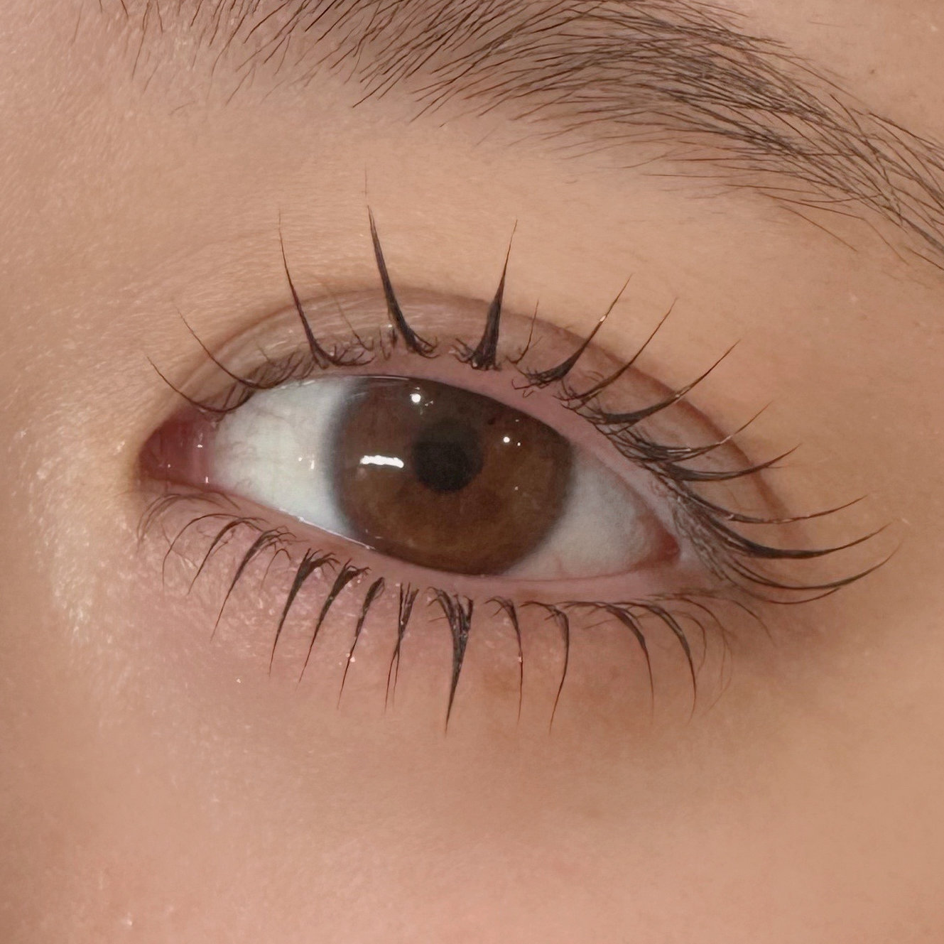 natari_.lash