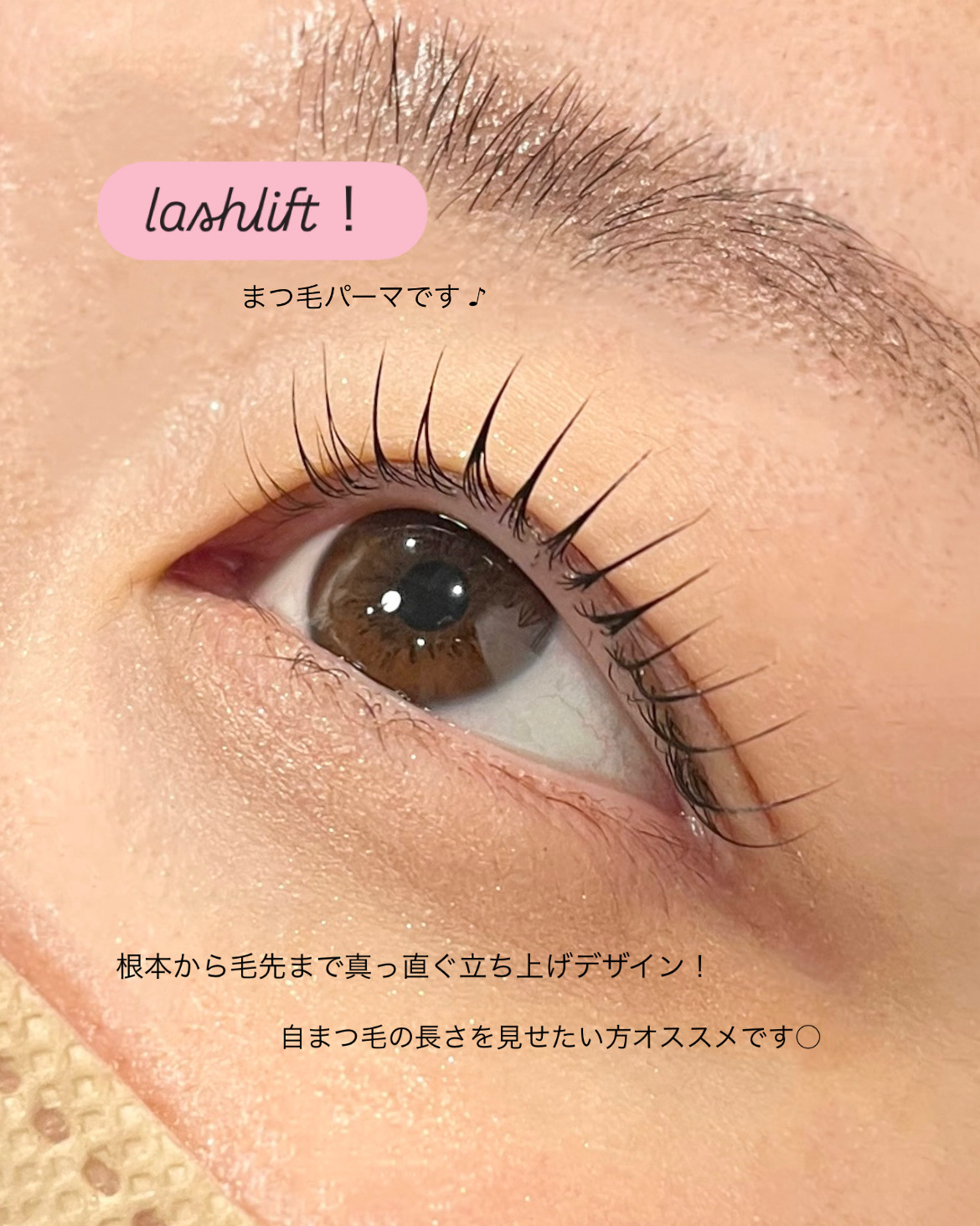 eye_yyy