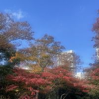 A_aoi
