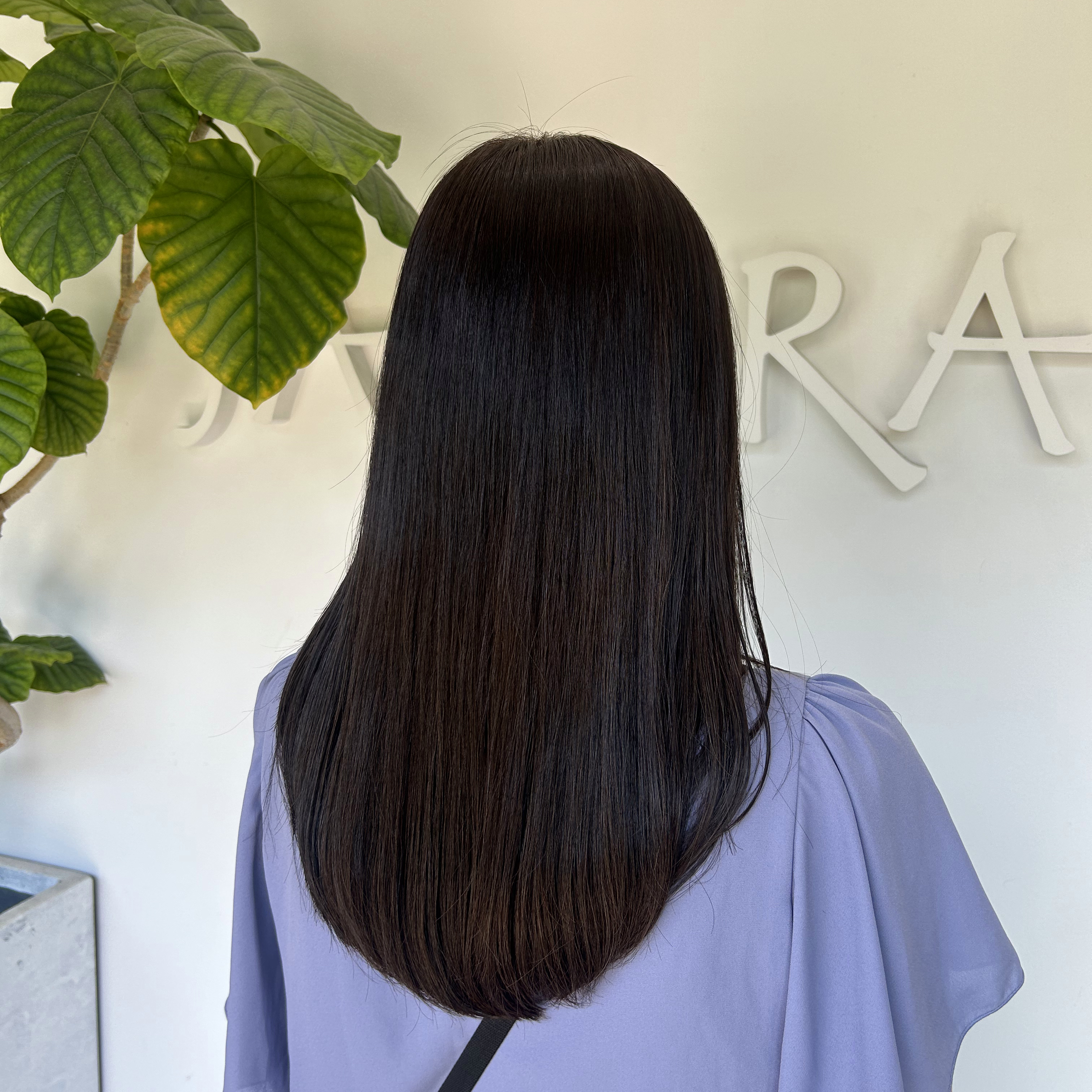 smei_hair