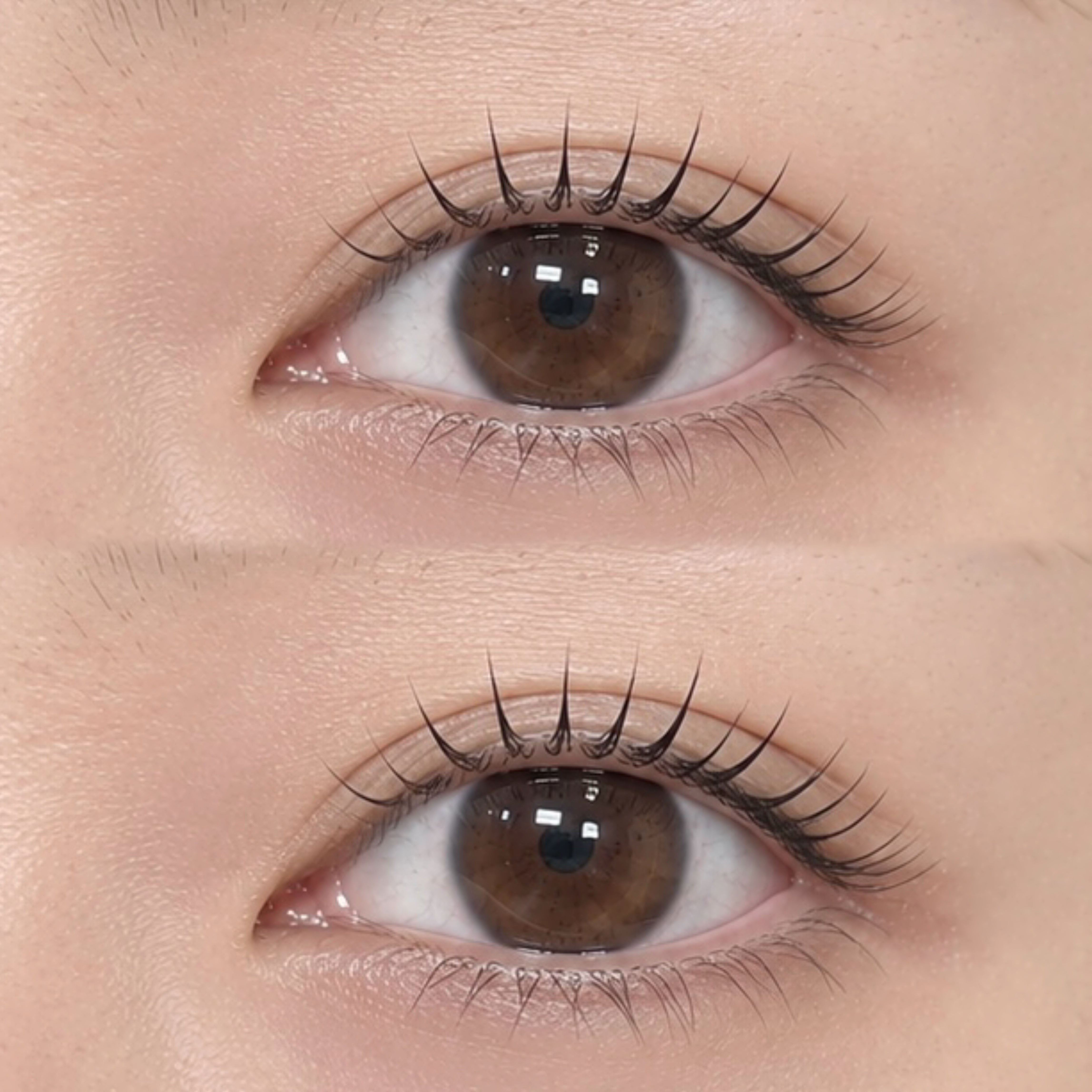 BUCKS_eye