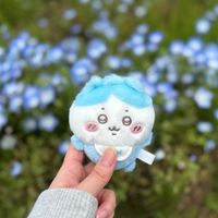 shi_4109