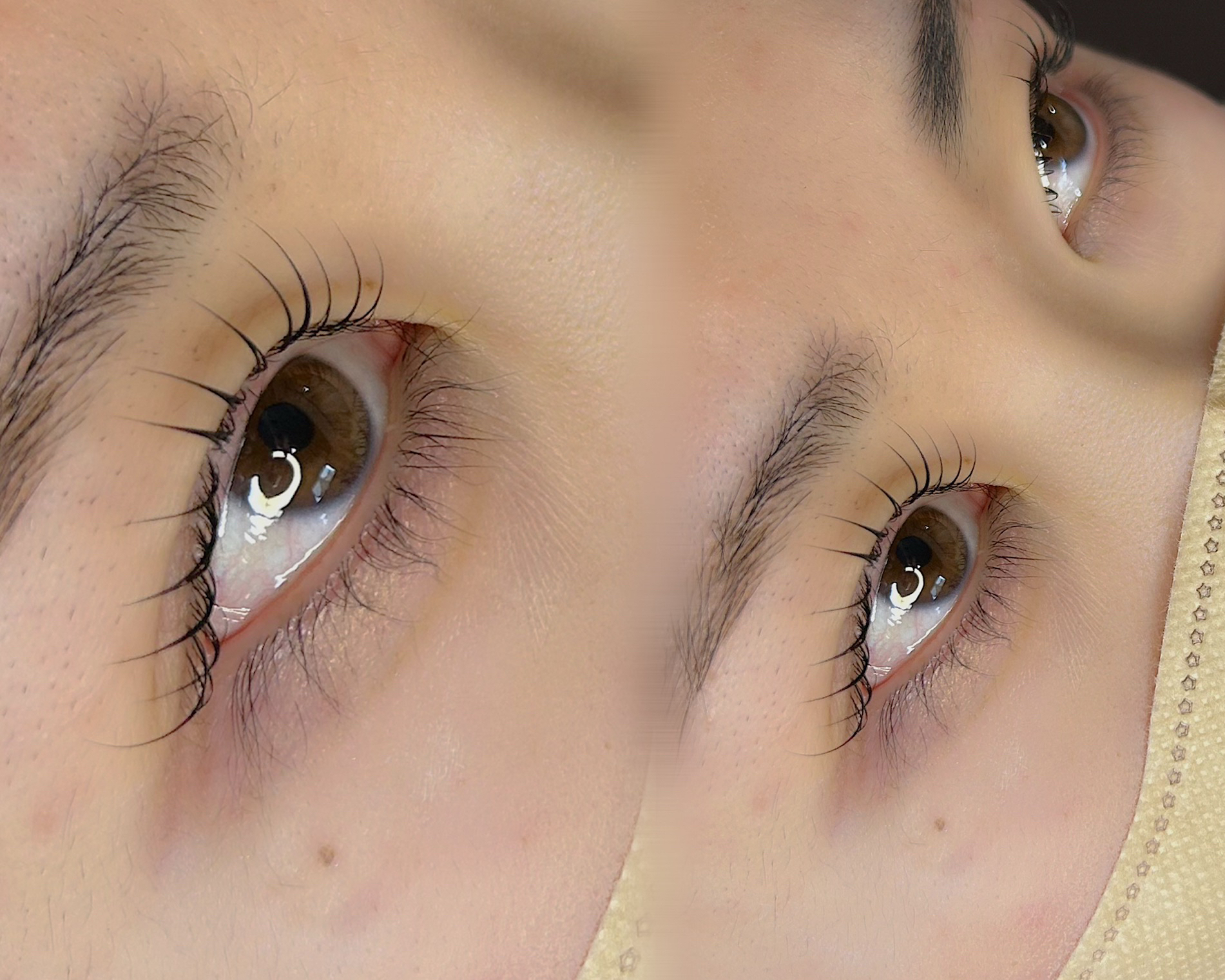 eyelash_eyebrow_desiree.