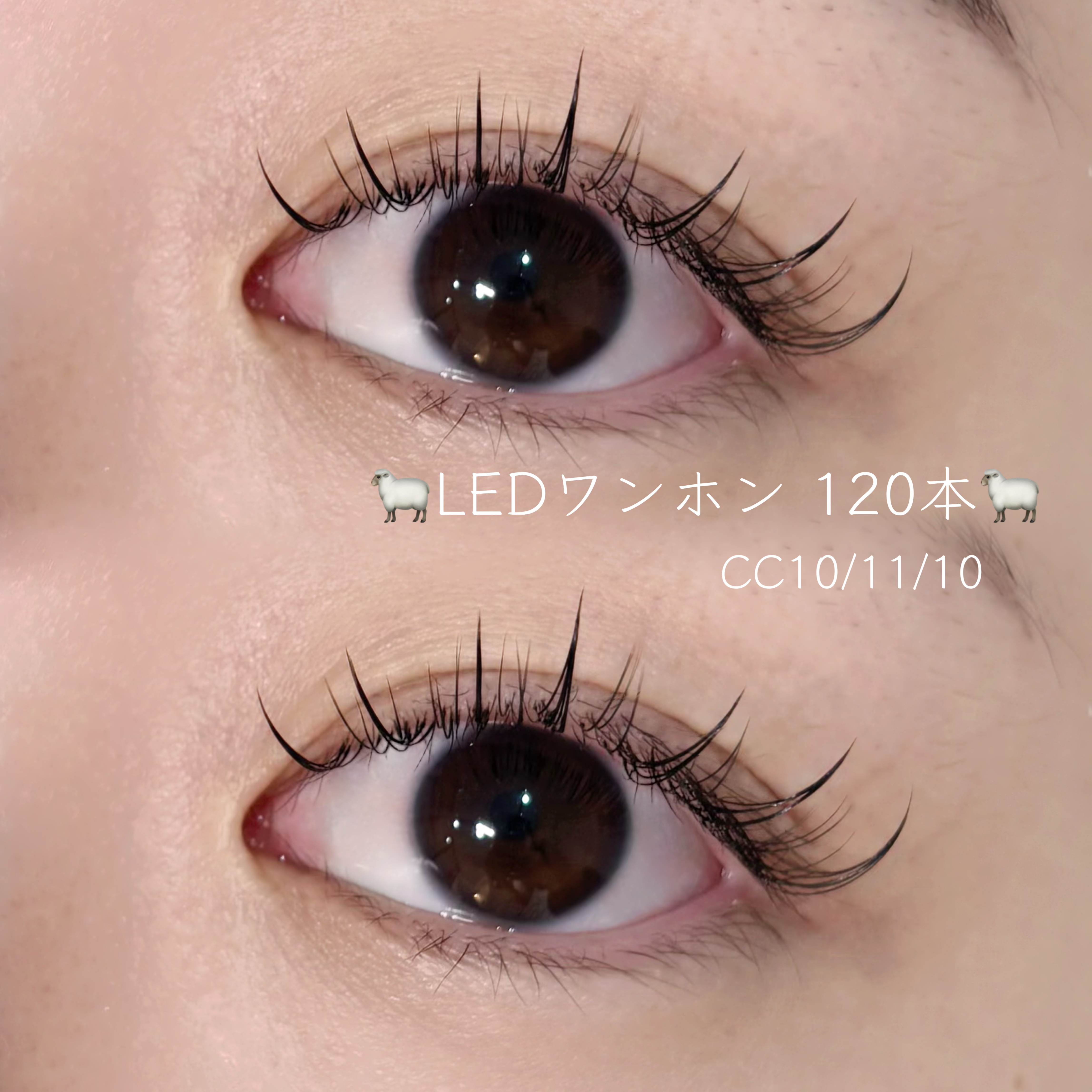 eyeHbe_Maaya