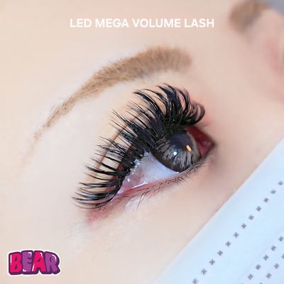 LEDボリュームラッシュ つけ放題