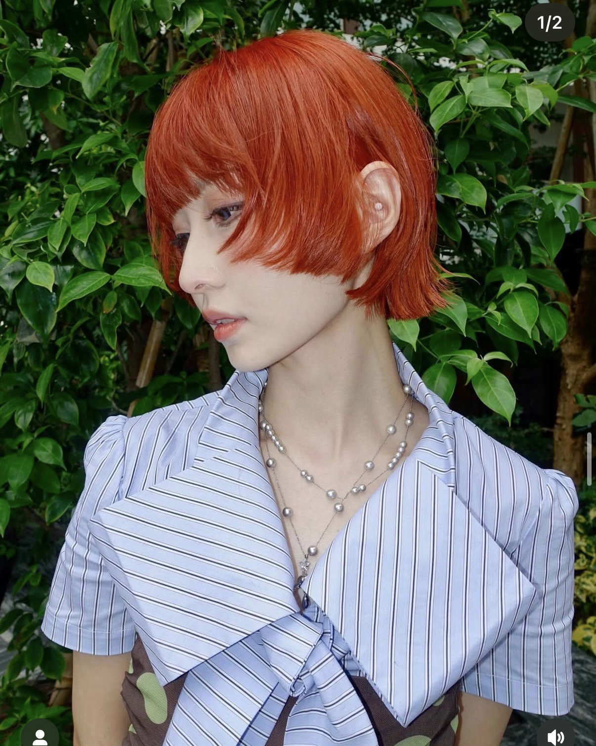 kishi_shachu
