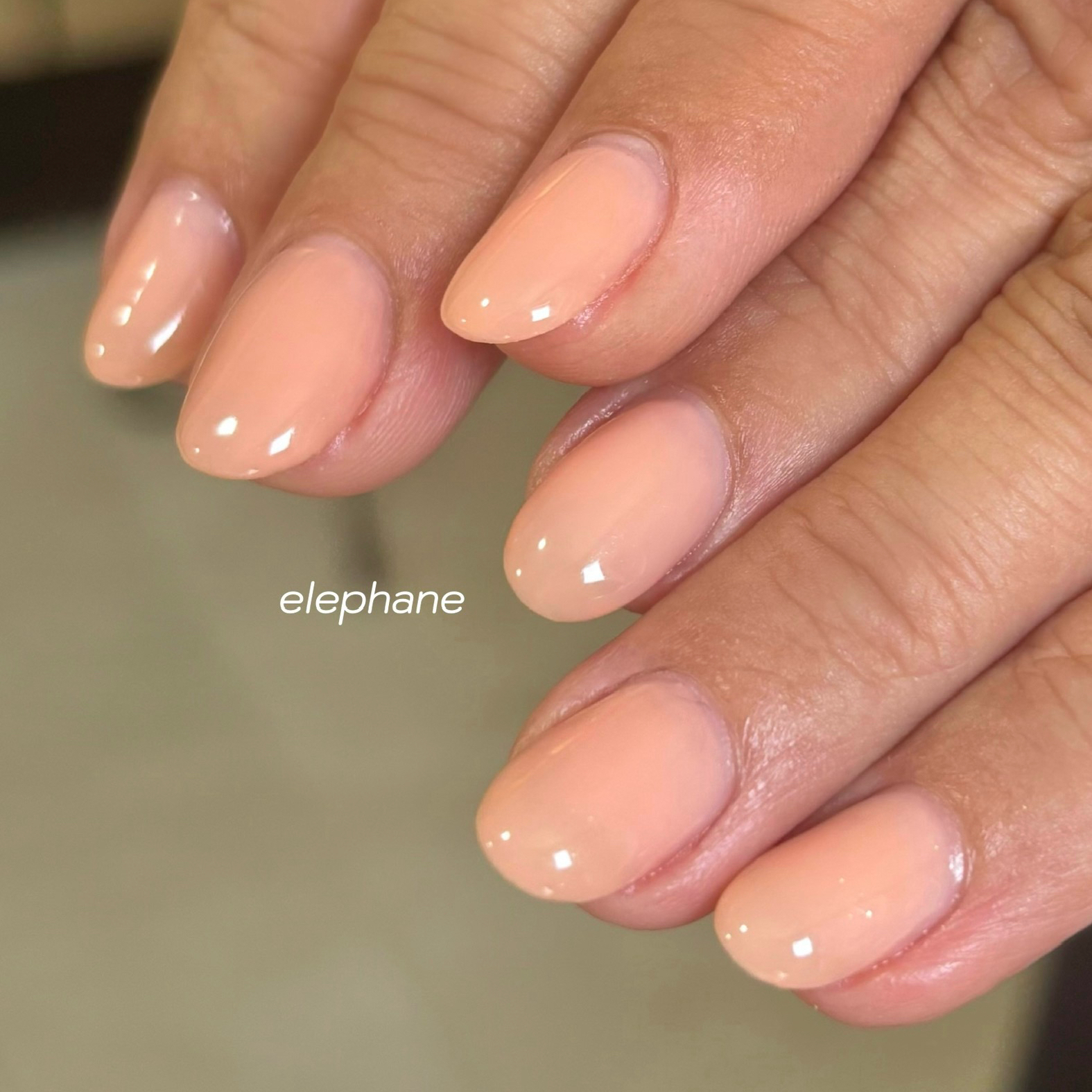 elephane