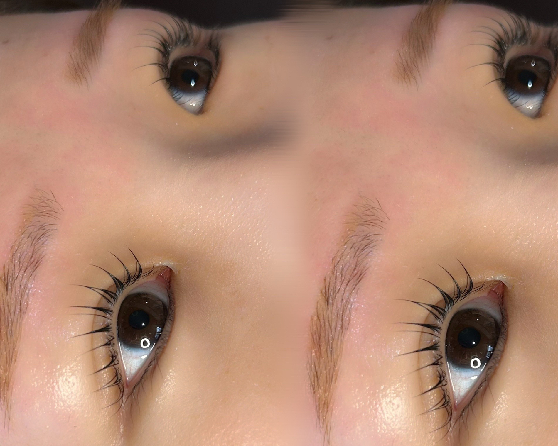 eyelash_eyebrow_desiree.