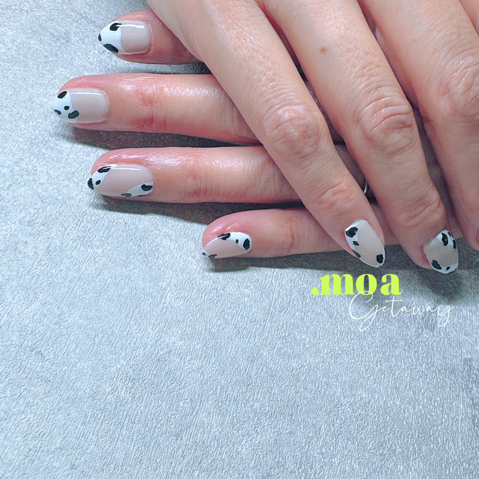 .moa