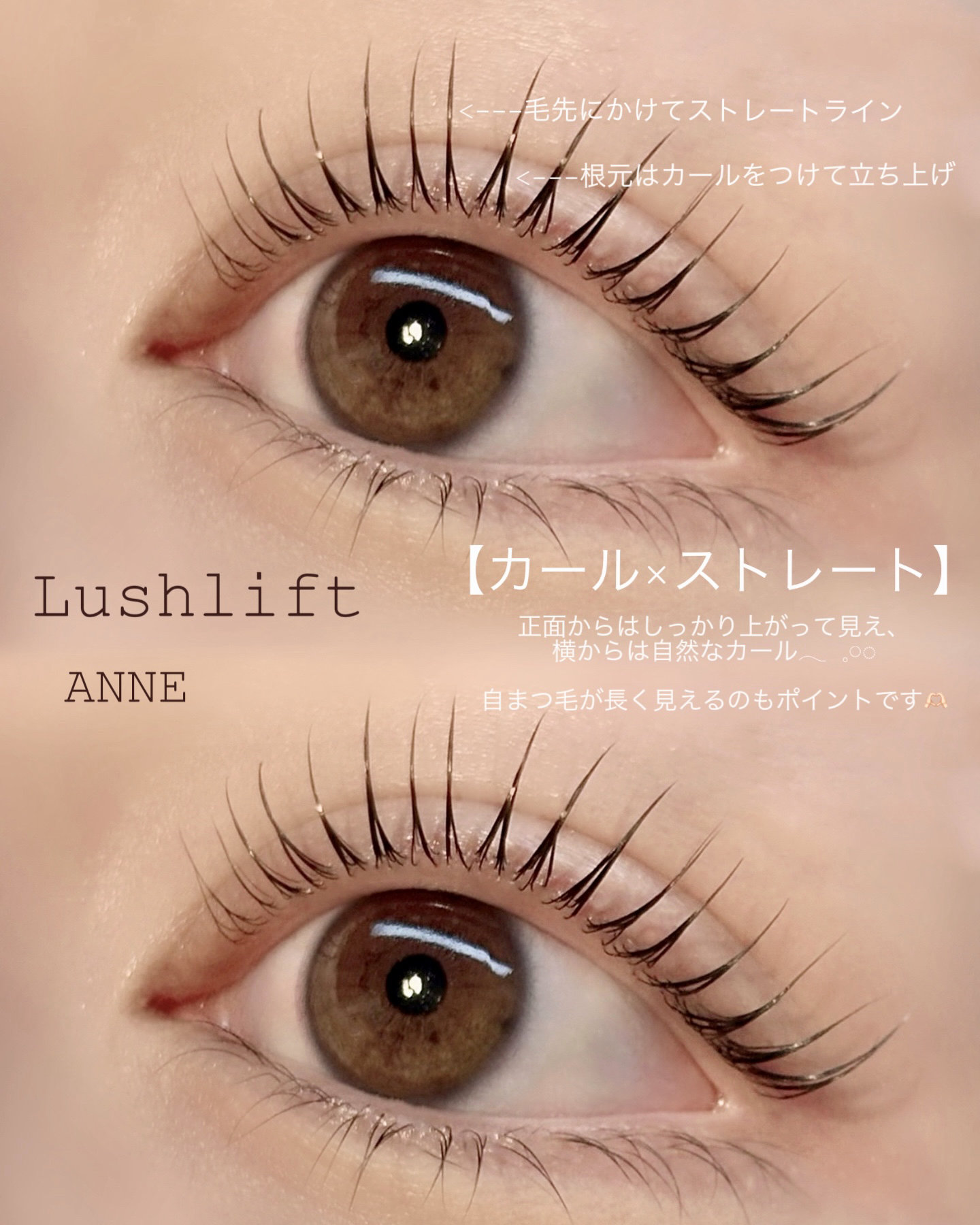 anne_chizu