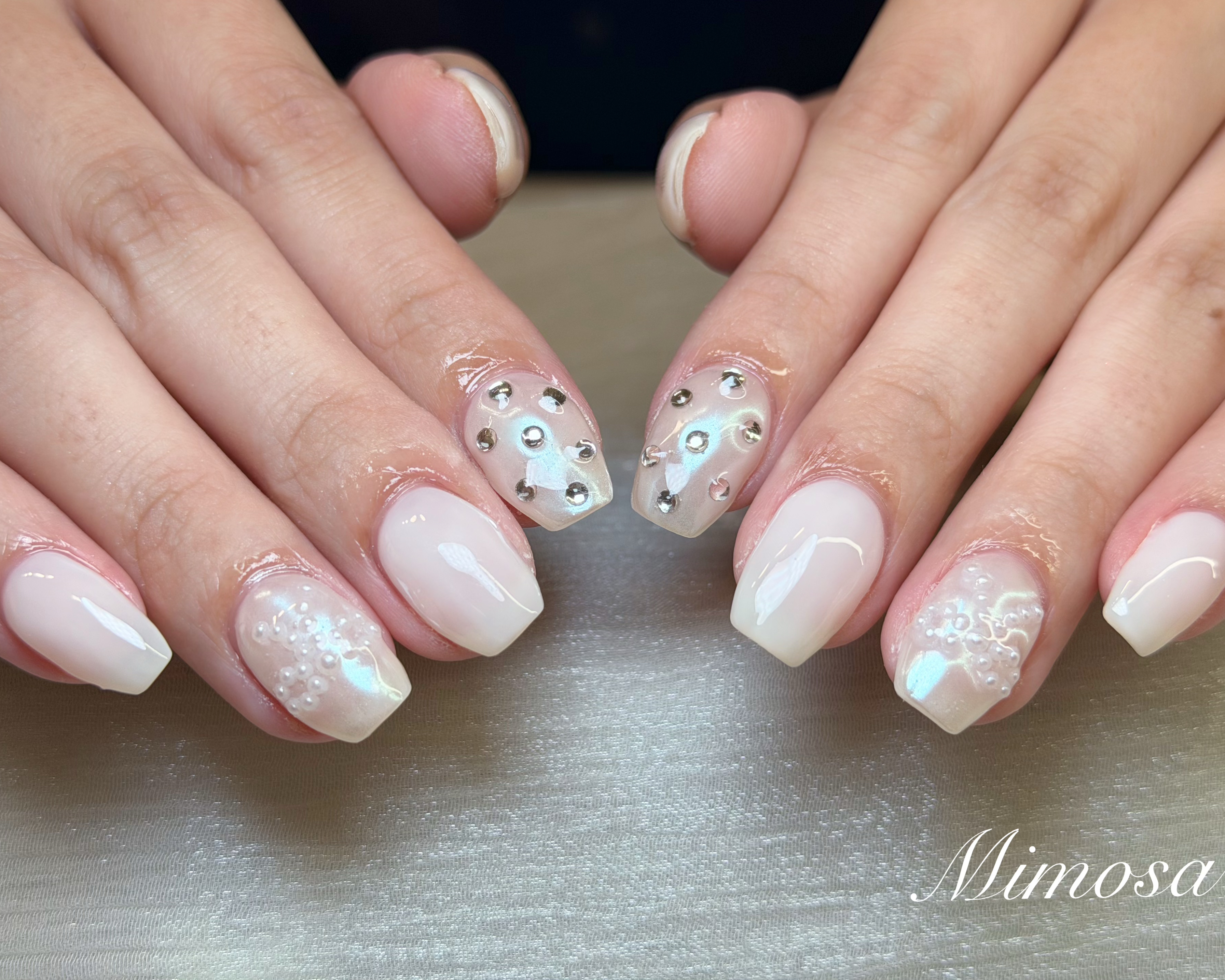 mimosa_kichijoji