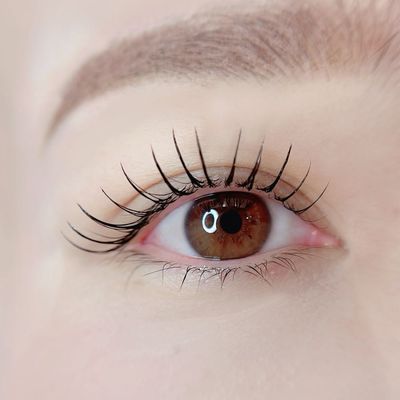 🌼フラットラッシュ140本🌼