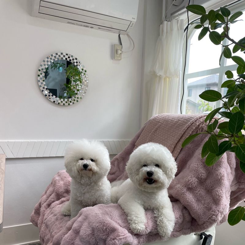 nail salon mignonne