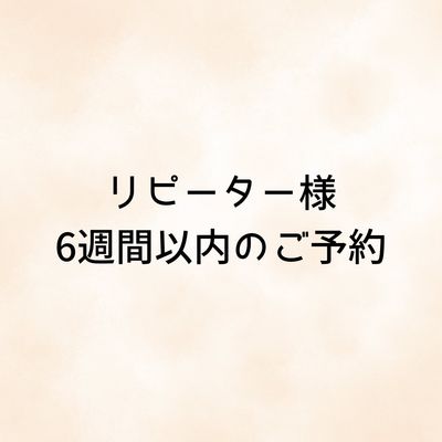 【6週間以内限定】マグネットorフラッシュ