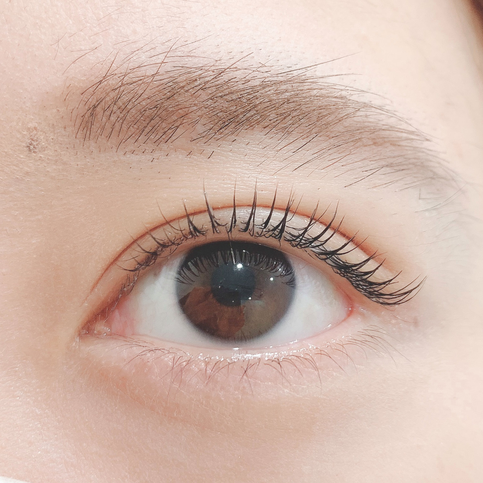 Gunji_eyelash