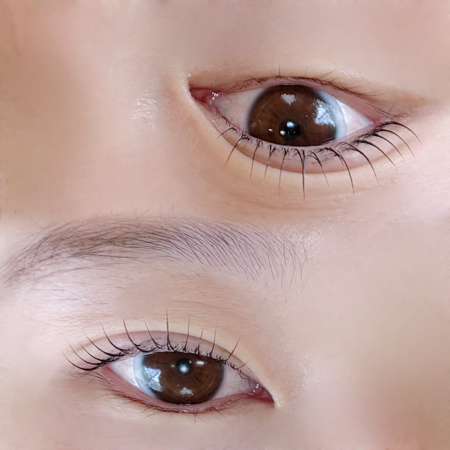 yukari.eye
