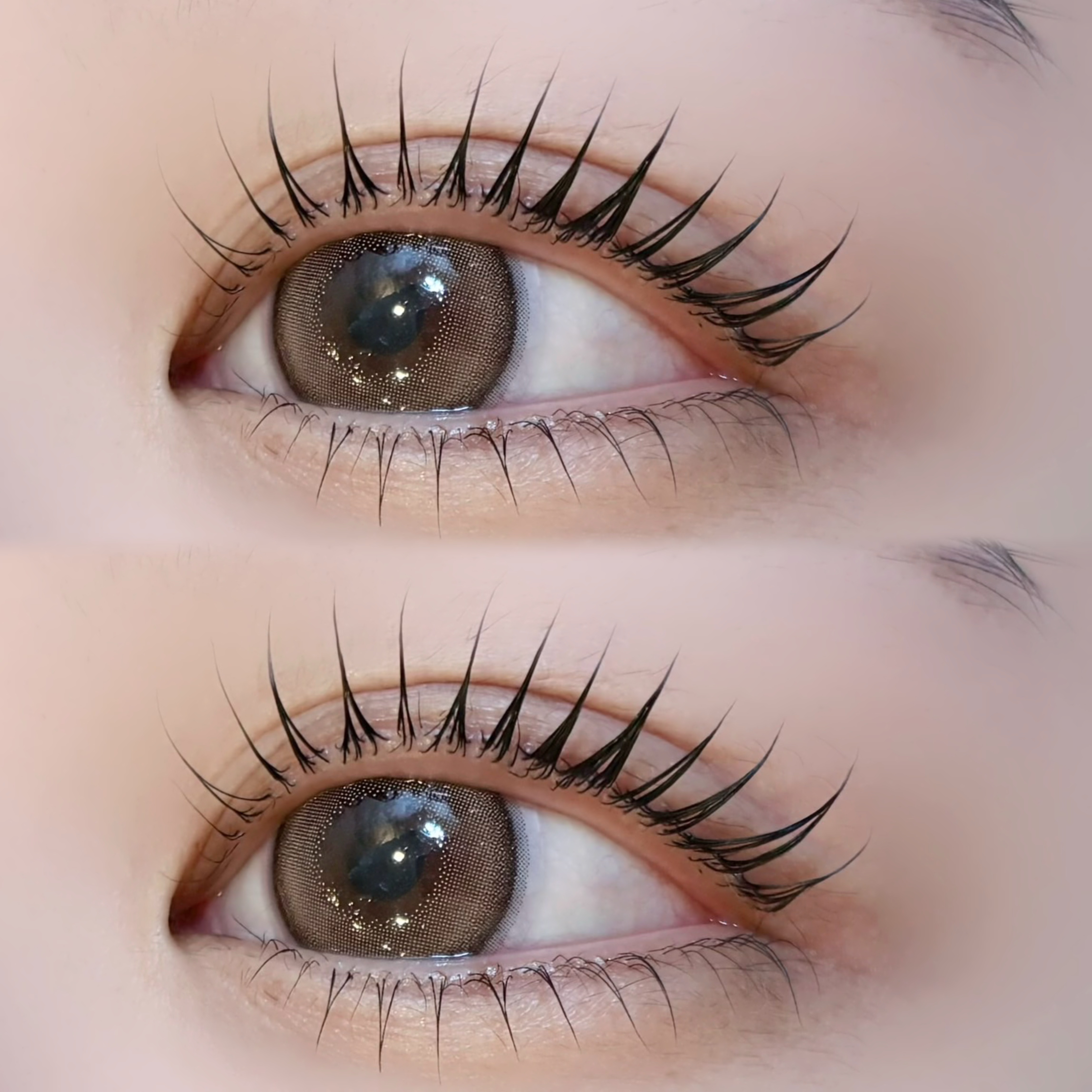 BUCKS_eye