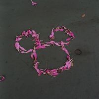 kkum_08