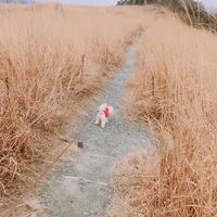 kt_ry_1118422