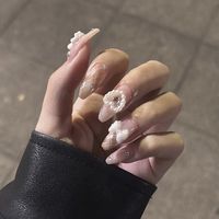 sechi_512