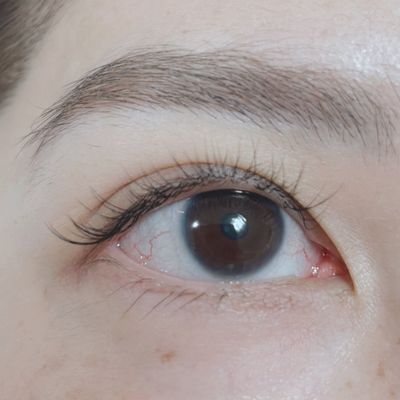 エクステオフのみ