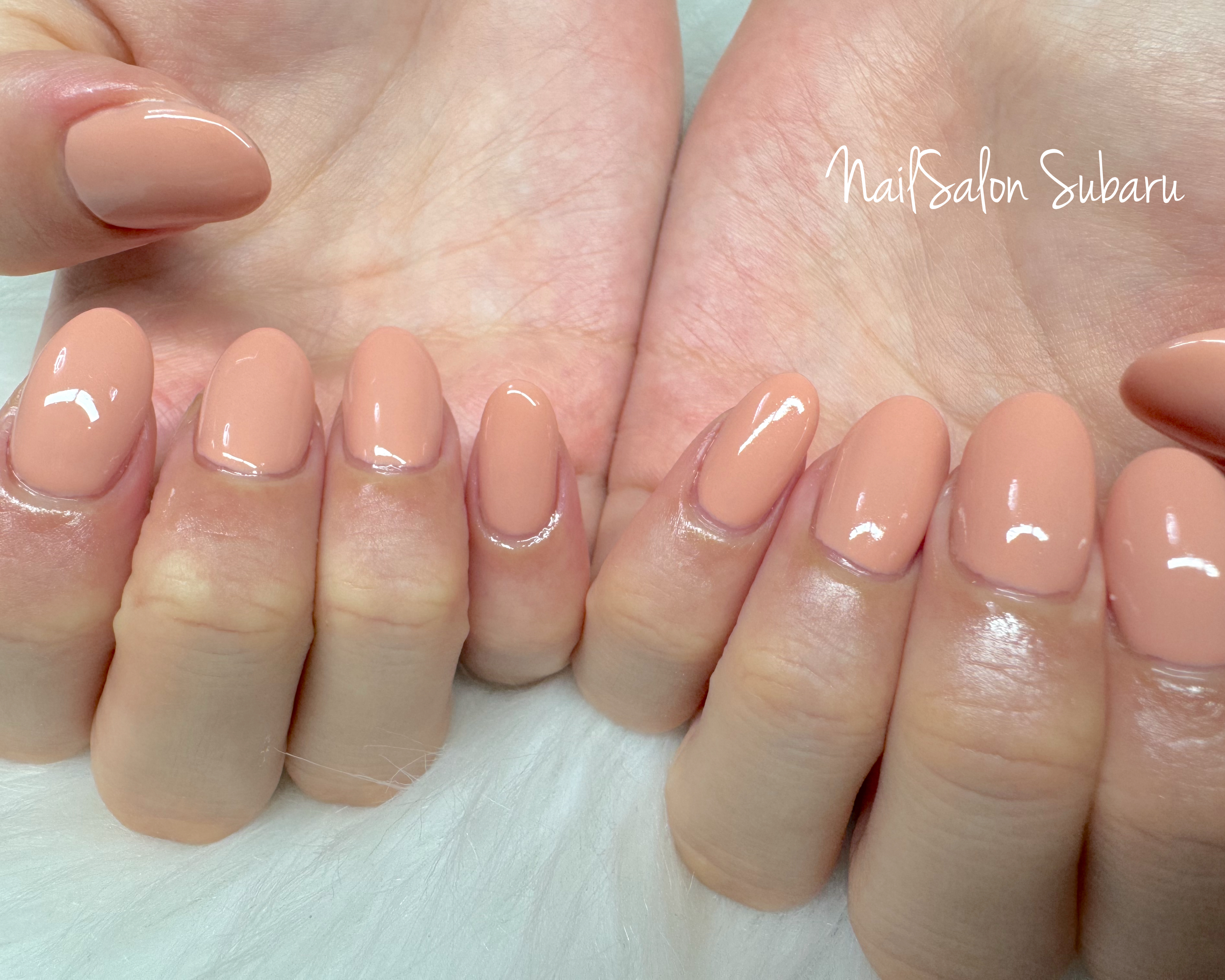 NailSalon.Subaru