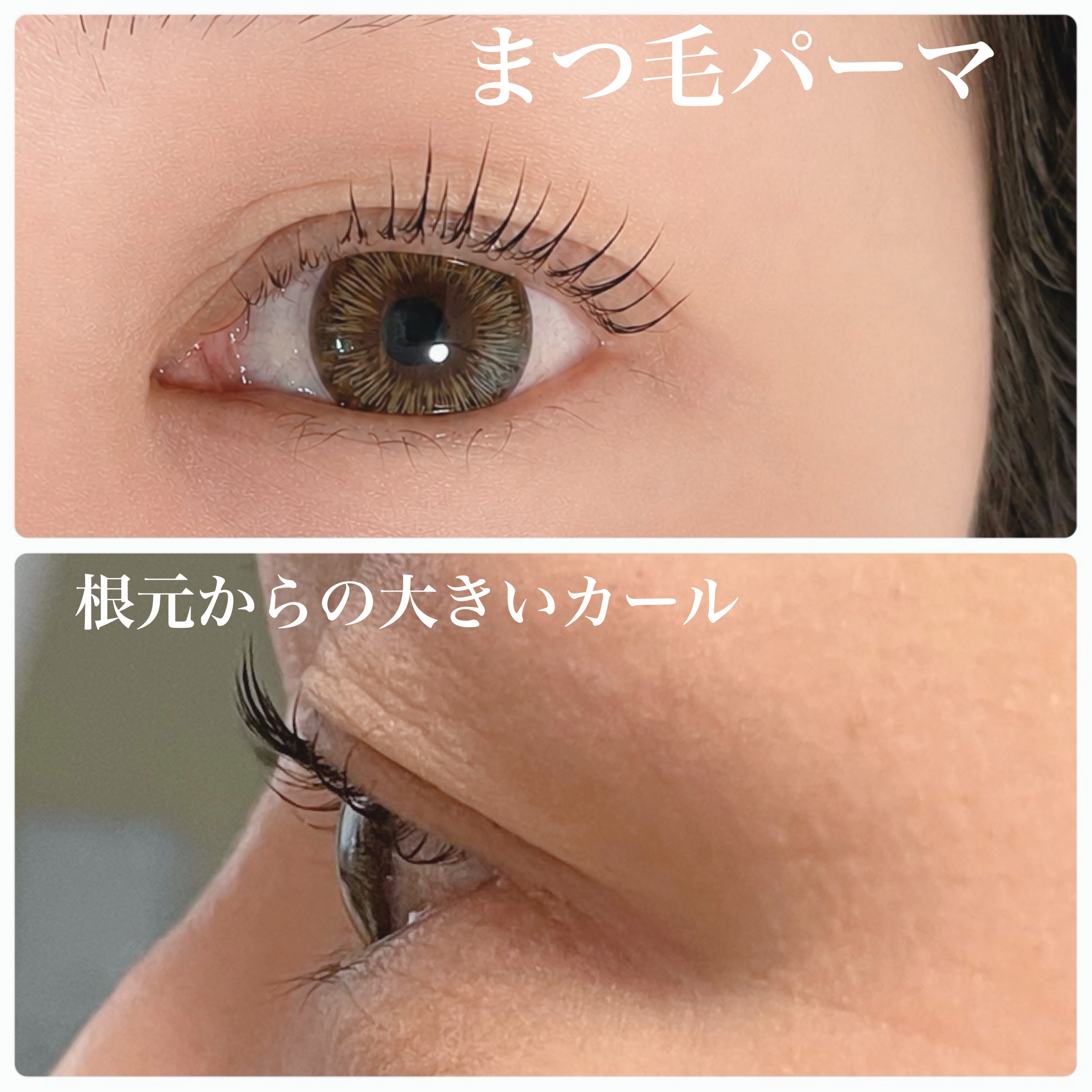 LINO_eyelash.