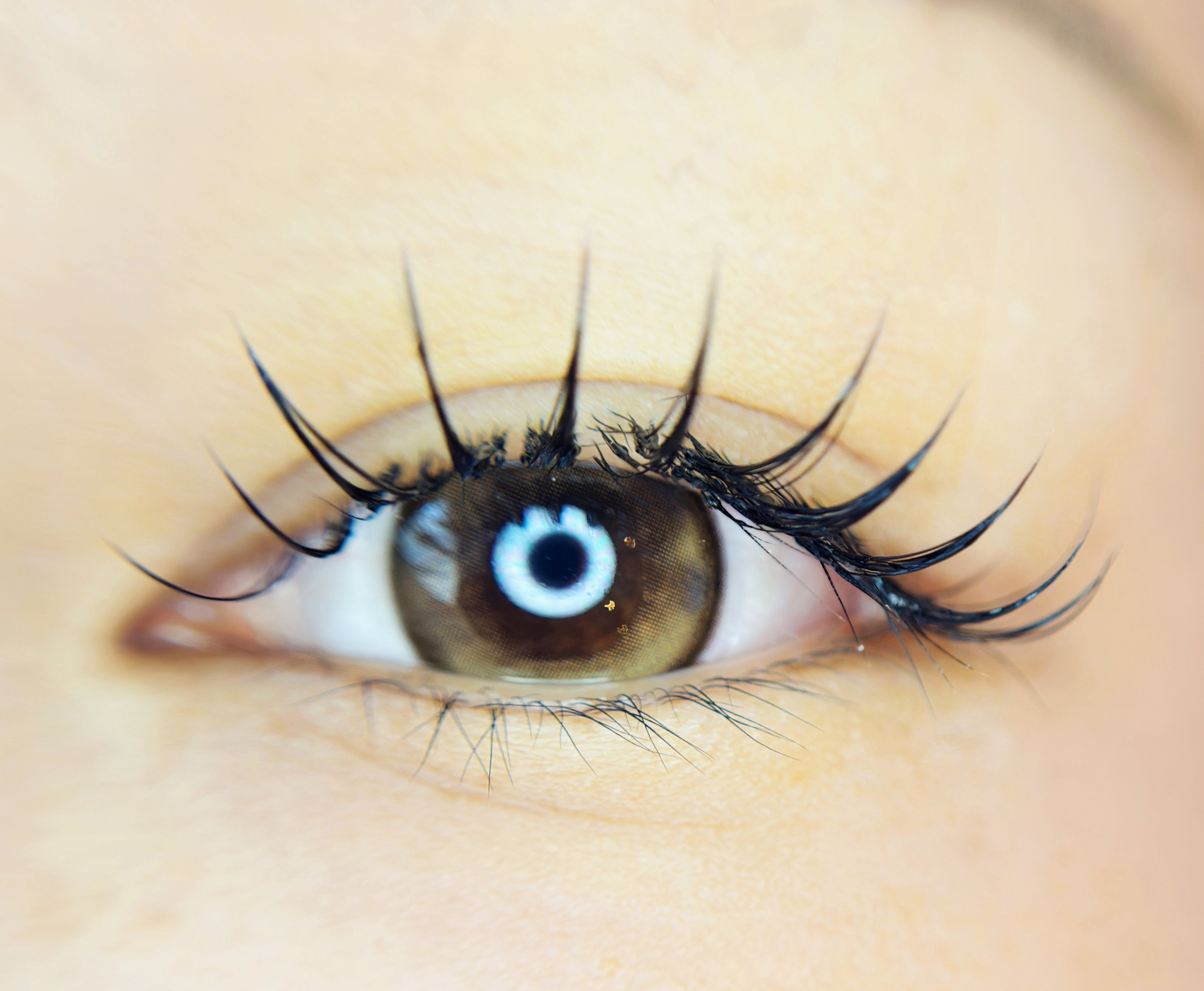 saaari___eyelash