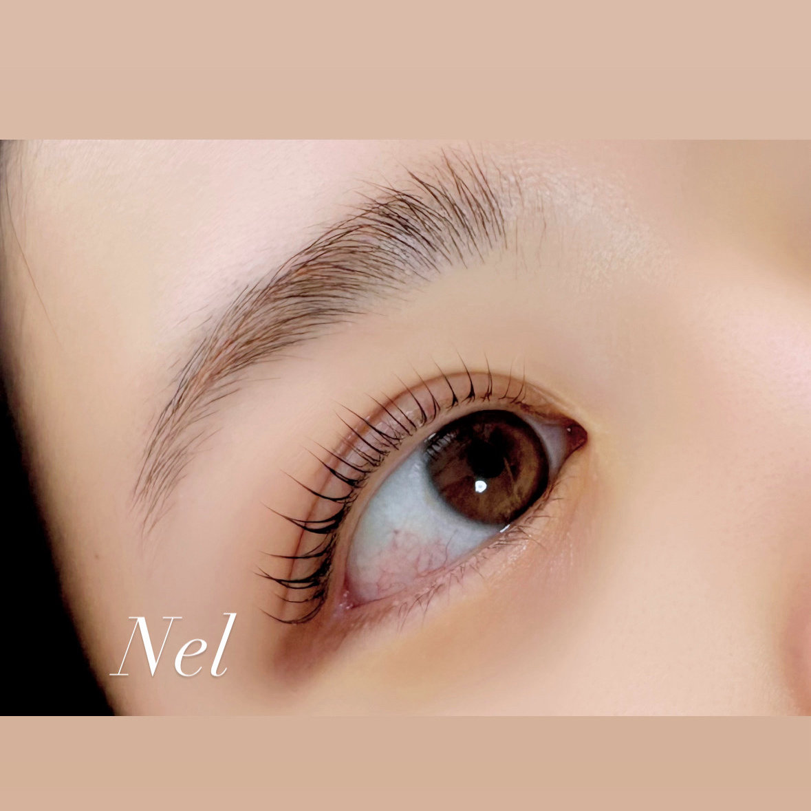 Nel_miwa401