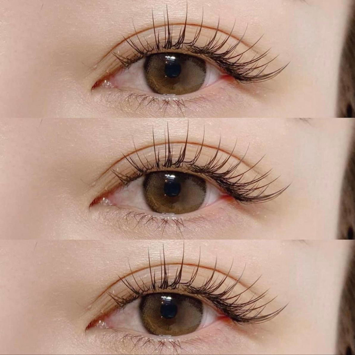 eye_ayame