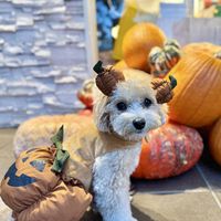 fuko_0u0_0909