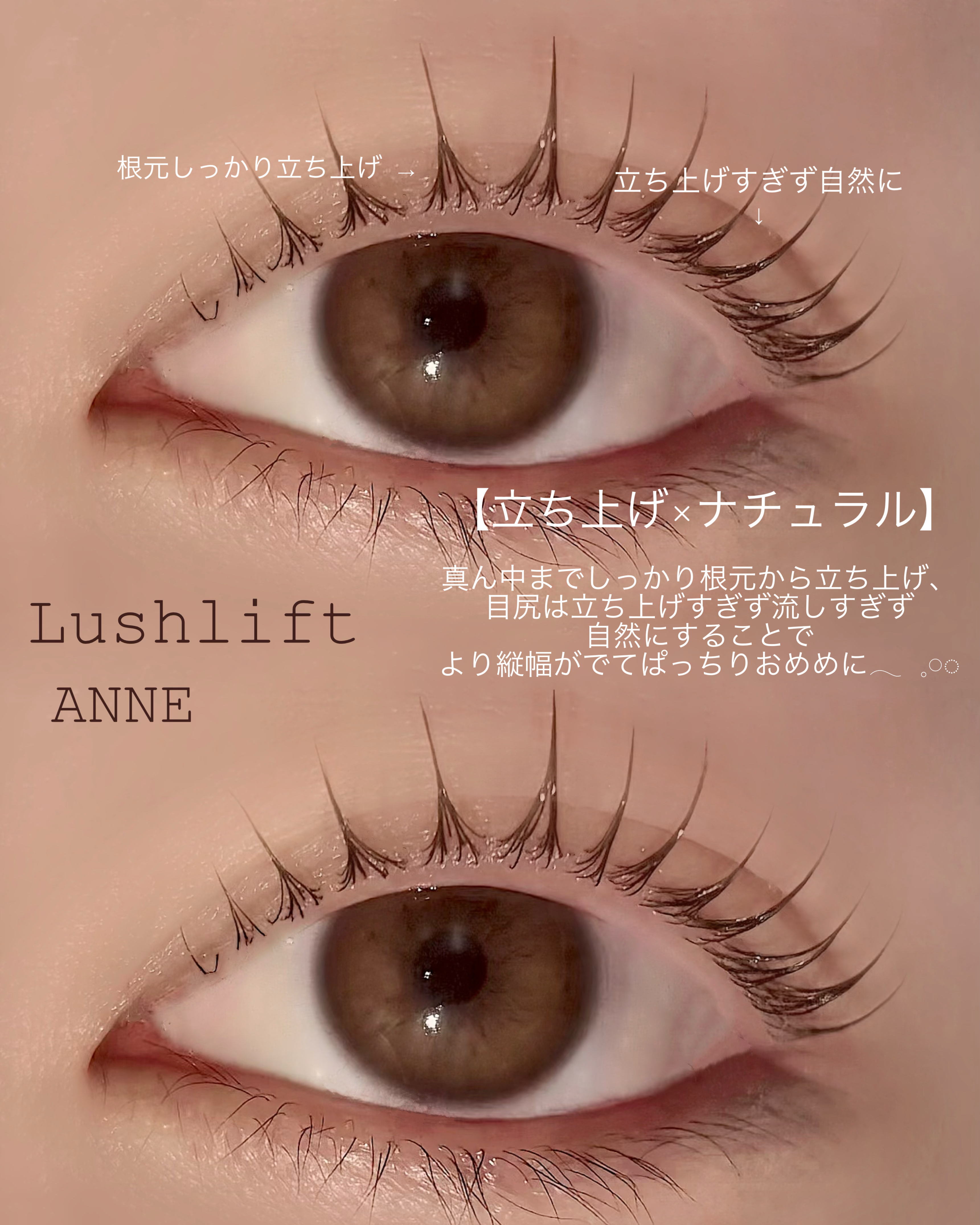 anne_chizu